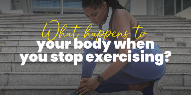 What happens to your body when you stop exercising?