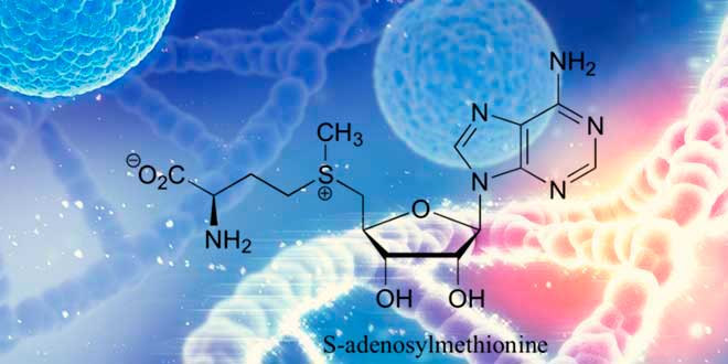 glutathione injection dosage skin whitening How Much Glutathione Should I Take for Skin Whitening? glutathione injection dosage skin whitening How Much Glutathione Should I Take for Skin Whitening?