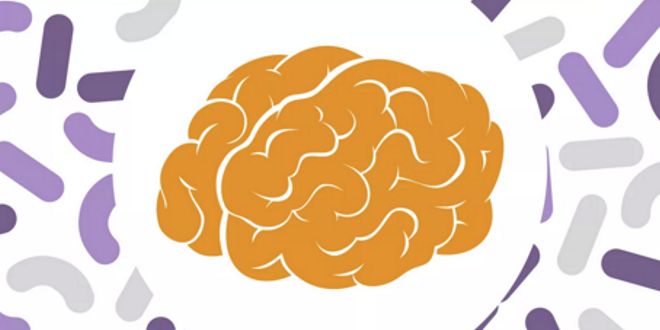 Microbiota and satiety