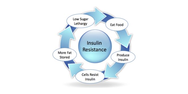 Resistance insulin
