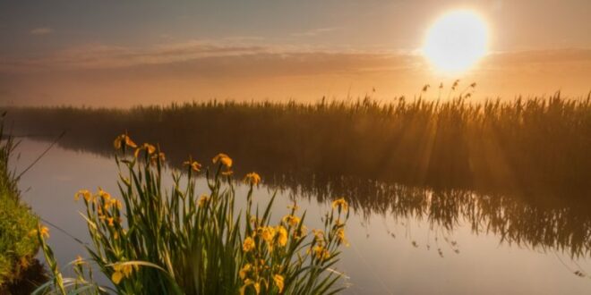 Sun Exposure – Learn about the Health Benefits