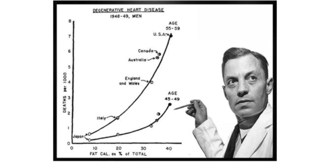 Study on the cholesterol Study on the cholesterol