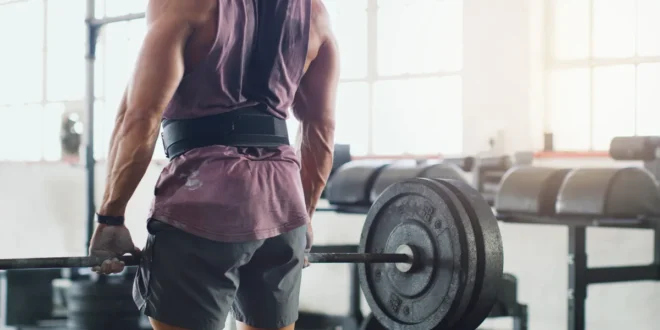 Everything you need to know about the Lumbar Belt Everything you need to know about the Lumbar Belt