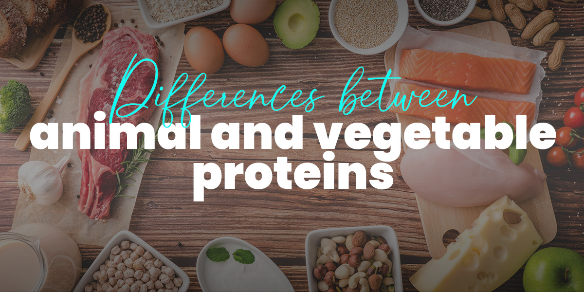 Differences Between Animal and Plant-Based Protein | HSN