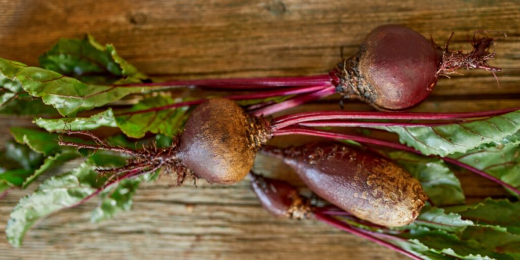 Beetroot Benefits, Properties and Recipes 【HSN Blog】