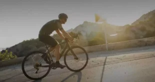 What’s the best protein for cyclists? Performance and recovery guide