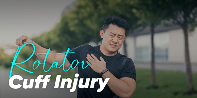 What is the shoulder rotator cuff? What is the shoulder rotator cuff?
