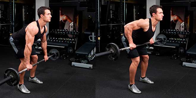 Row Barbell Row Barbell