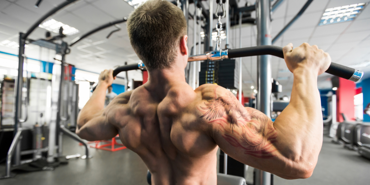What muscles does the lat pulldown work?