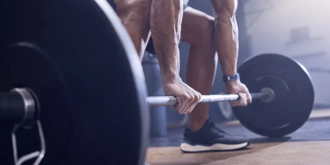 Barbell Workout Routines