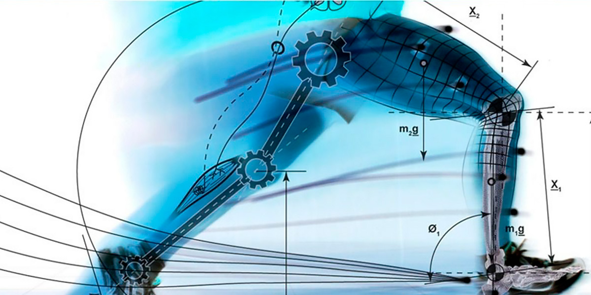 Biomechanics Biomechanics
