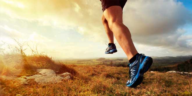 Endurance II Endurance II