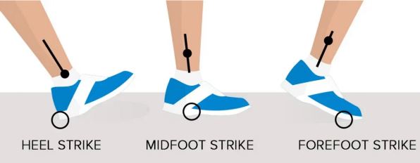 Forefoot Forefoot