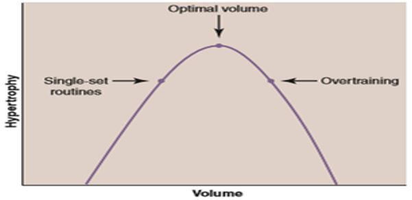 Response to training volume