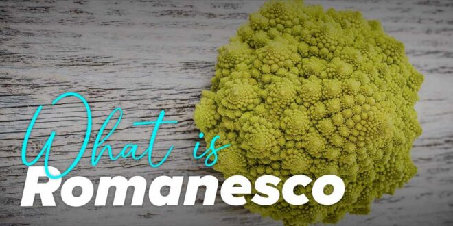 Romanesco: what it is, its properties and how it’s eaten Romanesco: what it is, its properties and how it’s eaten