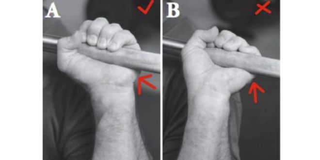Bar support Bar support