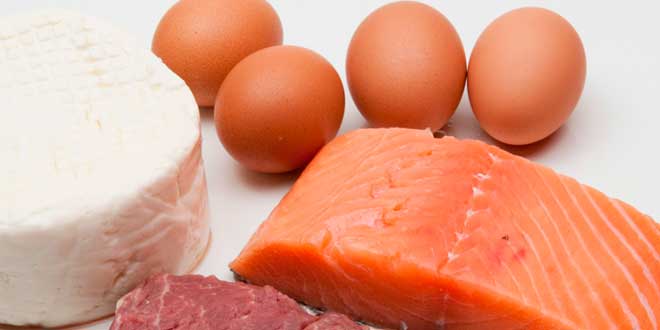Protein sources for Optimise Muscle Recovery
