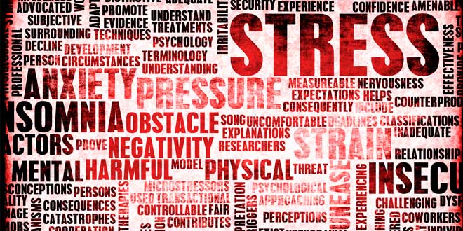 Stress and Body Changes