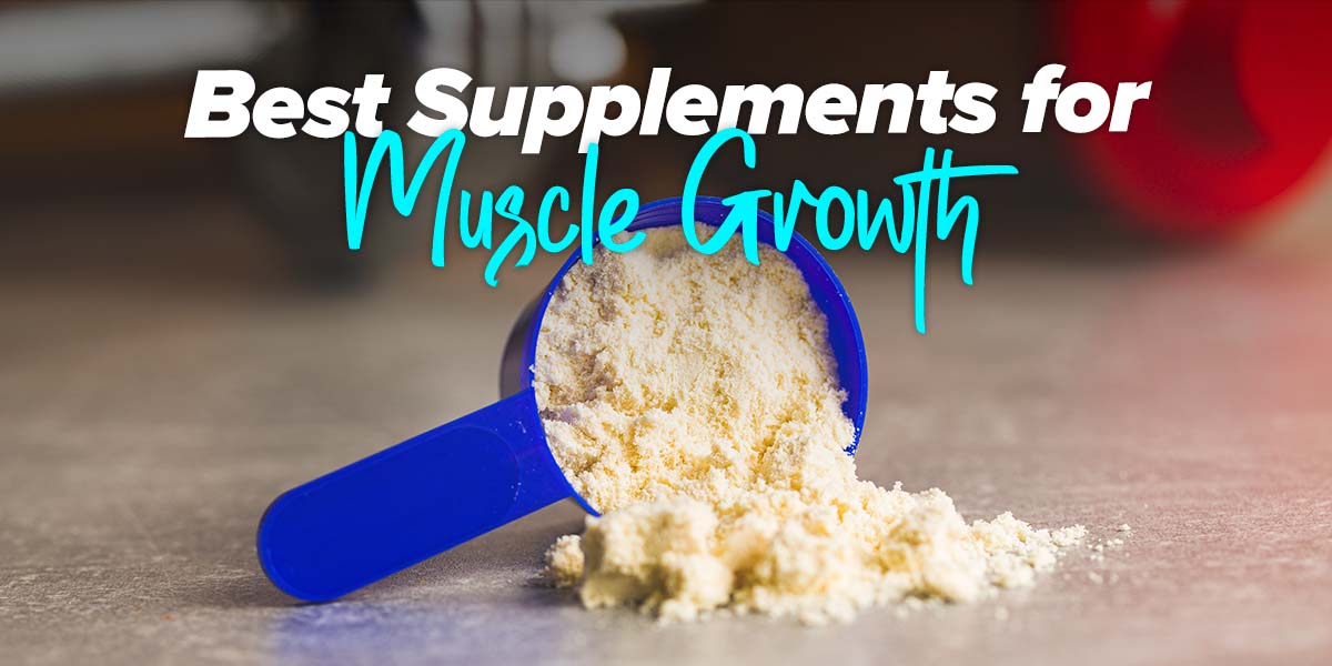 Supplements for Building More Muscle Mass HSN