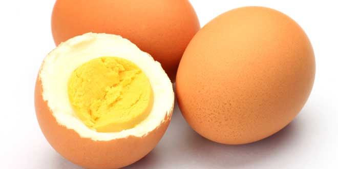 Whole Egg Whole Egg