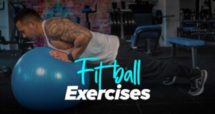 Pilates Ball Exercises