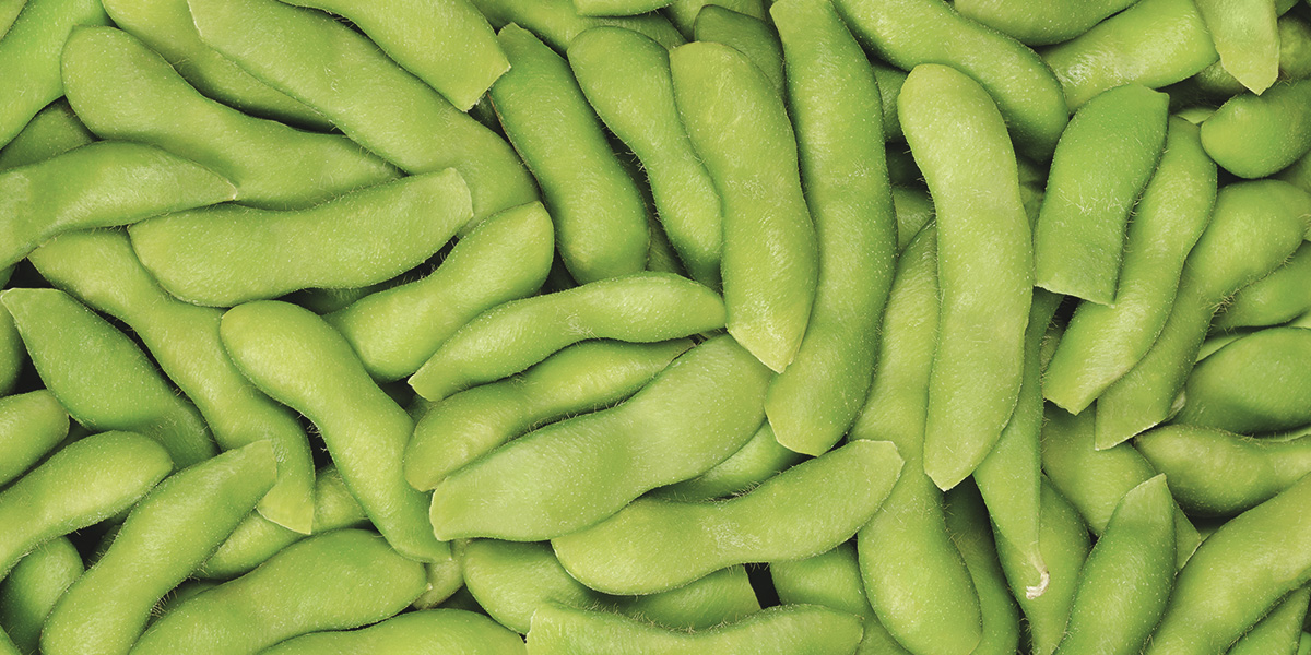 Soy and Nutritional needs