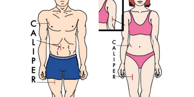 caliper - calculate my ideal weight caliper - calculate my ideal weight