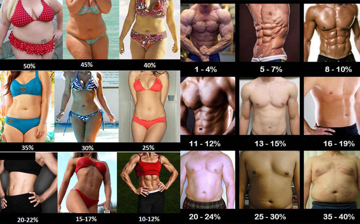 Comparative fat percentage - calculate my ideal weight Comparative fat percentage - calculate my ideal weight