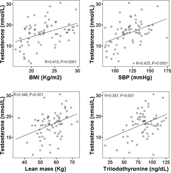 Free testosterone vs cortisol - metabolic flexibility