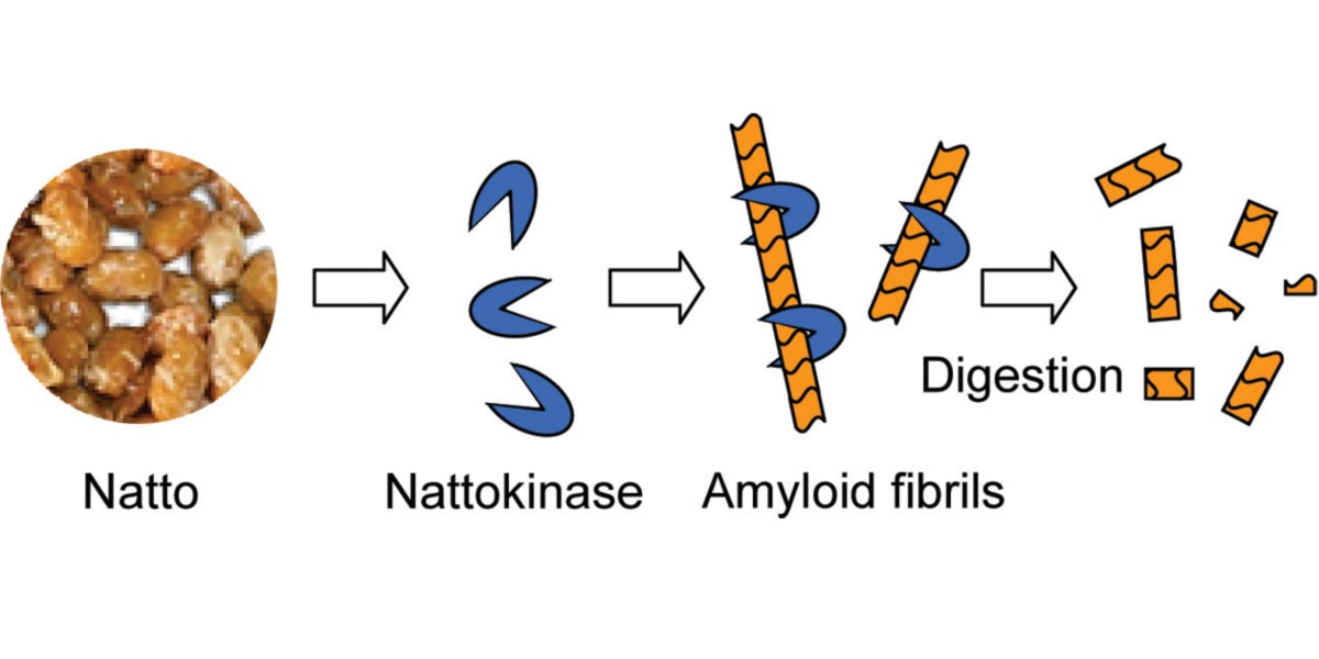 Plasminogen Plasminogen