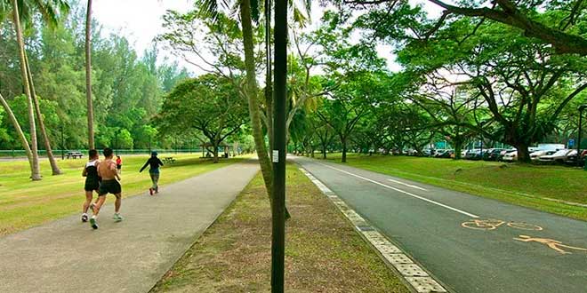 Social factors Sedentary lifestyles Social factors Sedentary lifestyles