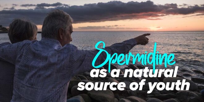 Spermidine as a natural fountain of youth Spermidine as a natural fountain of youth