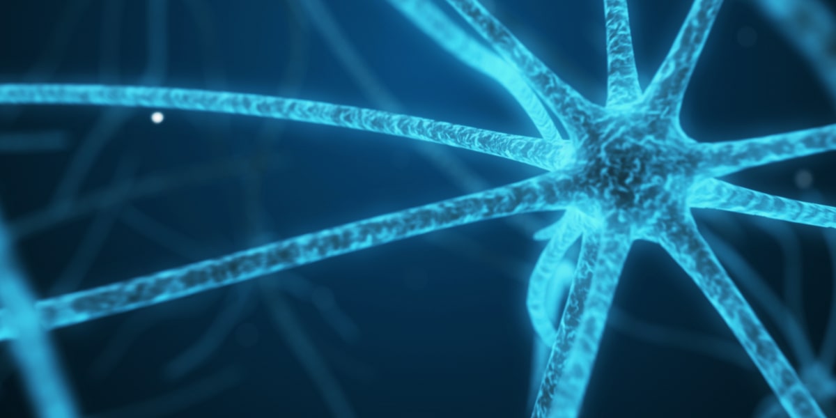 Spermidine and autophagy Spermidine and autophagy