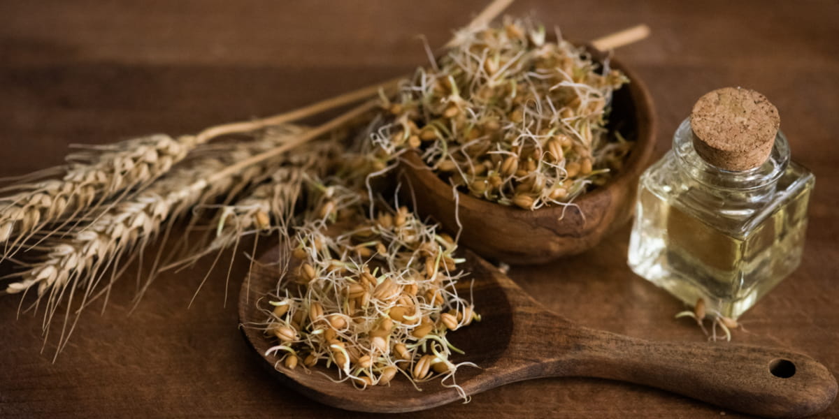 Spermidine and Wheat Germ Spermidine and Wheat Germ
