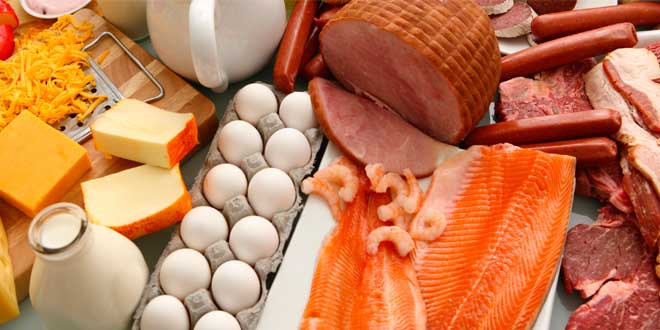 Protein