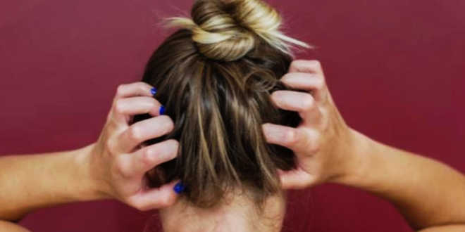 Seborrhoeic dermatitis causes Seborrhoeic dermatitis causes