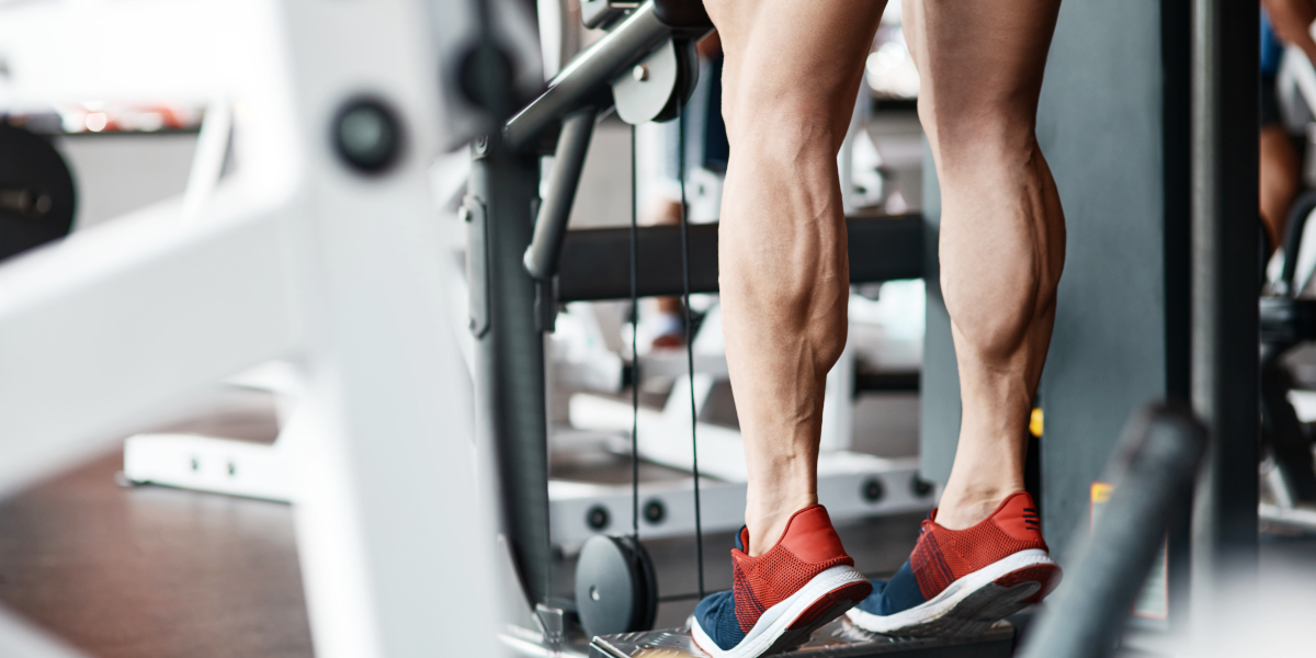Creatine and glutamine supplements