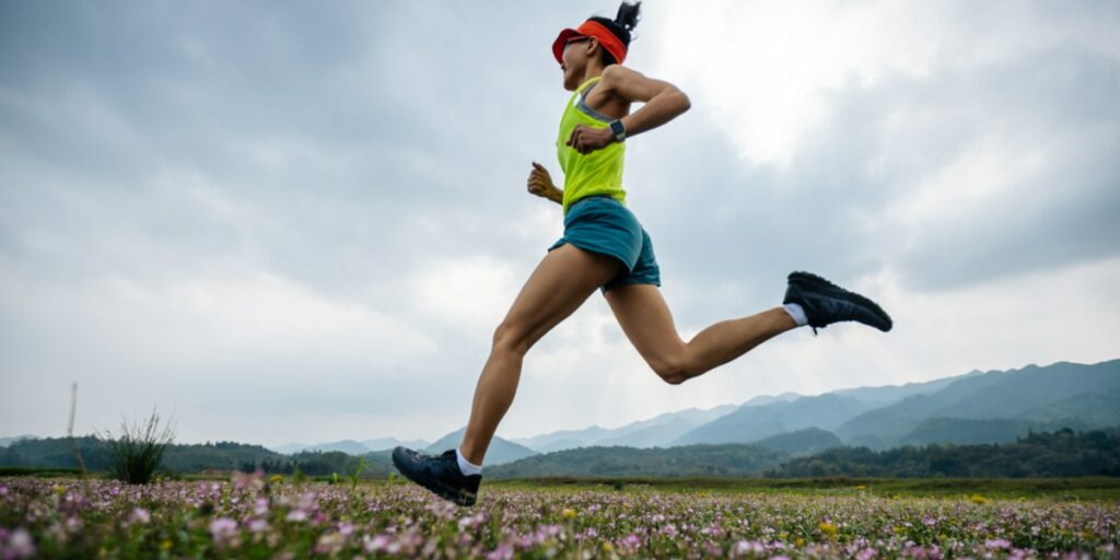 Astragalus Properties, how to take and effects HSN