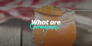 What are Carrageenans?