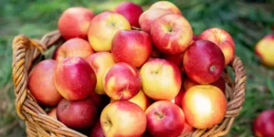 Properties and benefits of apple cider vinegar for your health