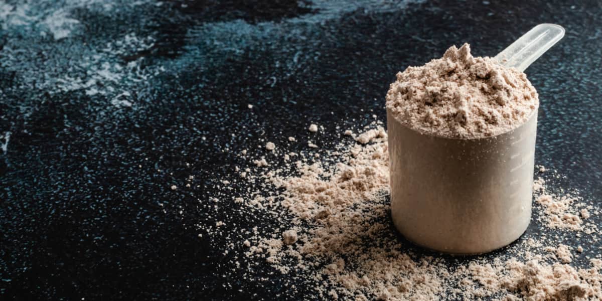 Protein powder Protein powder