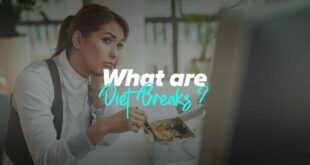 What are diet breaks and how do they help you lose weight?