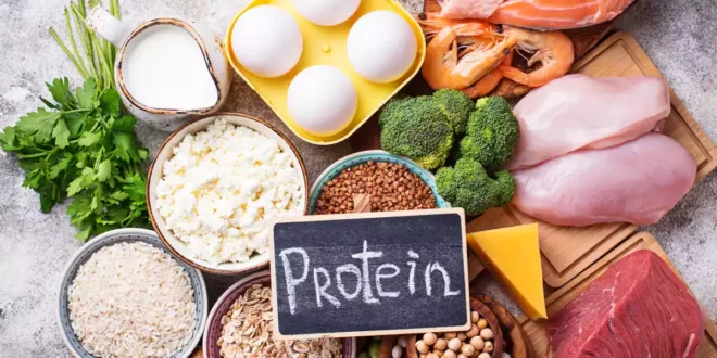 What is the Optimal Amount of Protein for Muscle Gain? What is the Optimal Amount of Protein for Muscle Gain?