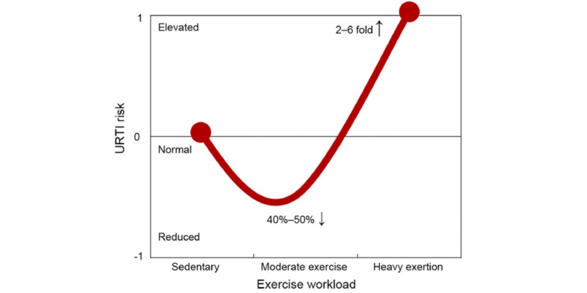 Chart 2