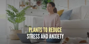 plants-to-reduce