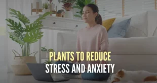 plants-to-reduce