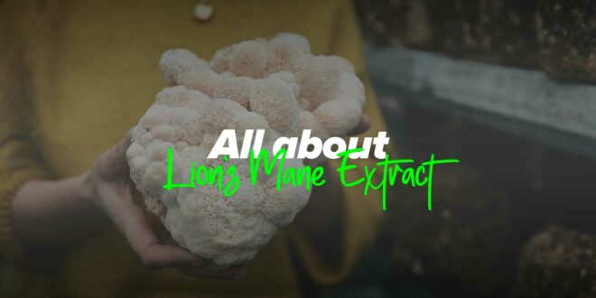 Benefits and Properties of Lion’s Mane Mushroom