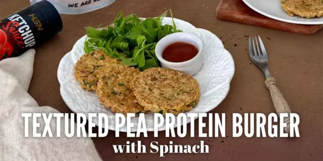 Textured Pea Protein Burger Textured Pea Protein Burger