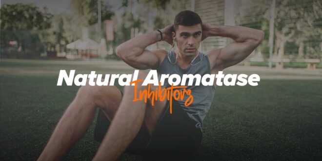 Natural Aromatase Inhibitors Natural Aromatase Inhibitors