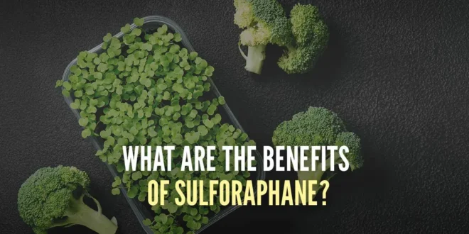 body glutathione cream What is Sulforaphane and what are its health benefits?